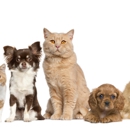 Reigning Cats & Dogs - Pet Grooming