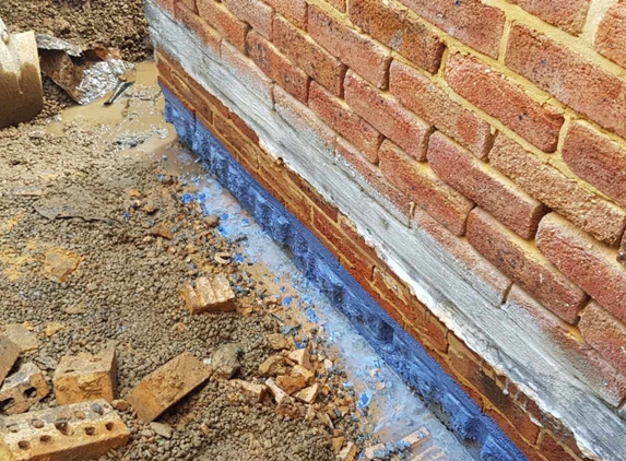 Precision Building. Rising Damp