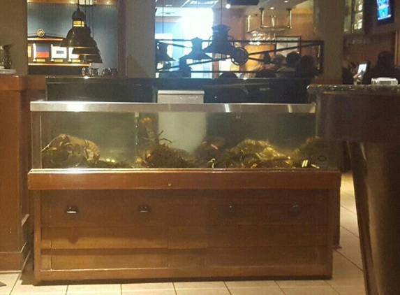 Red Lobster - Concord, NC