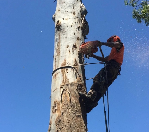 EnviroArb Pty Ltd - Emerald Beach, NSW