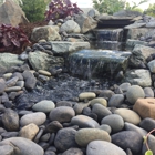 Hoffman's Water X Scapes Garden Center