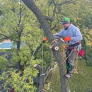 Tomax Tree Service - Tree Service