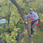 Tomax Tree Service