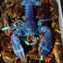 Skip's Dock: Seafood Market - Lobsters