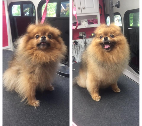 Furry & Fabulous Mobile Grooming - Saint Louis, MO