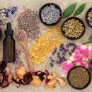 Yahawah Herbs - Herbs