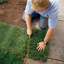 Riverside Sod - Excavation Contractors