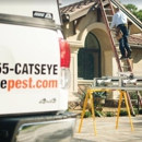 Catseye Pest Control - Hartford, CT - Termite Control