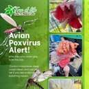 Tree of Life Exotic Pet Medical Center - Veterinarians