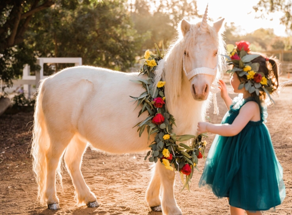 The Posh Unicorn - Brea, CA