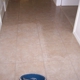 Absolute Carpet & Upholstery Cleaning LLC