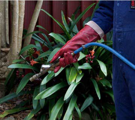 Shore Pest Services - Bayview, NSW