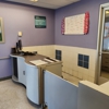 Petco Grooming gallery