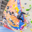 Central Rock Gym - Midtown - Climbing Equipment