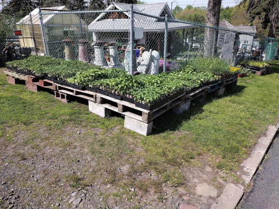 Ever Green Garden Center of Dupont - Avoca, PA