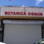Botanica Oggun