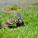 George Termite & Pest Control - Pest Control Equipment & Supplies