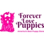 Forever Love Puppies Miami