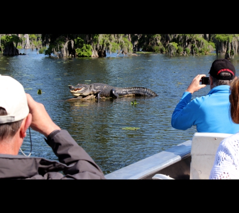 Cajun Country Swamp Tours - breaux bridge, LA