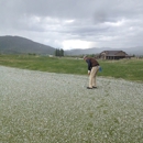 Haymaker Golf Course - Golf Courses