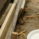 Elko Pest Control - Pest Control Equipment & Supplies