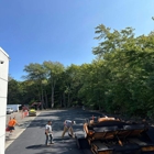 Northeast Property-Construction Services LLC