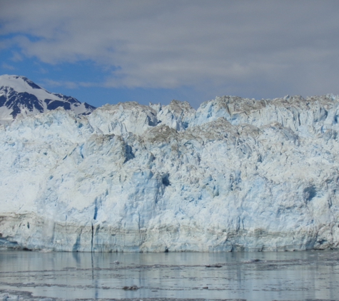 Taylor Made Travel llc - Morganton, NC. Glacier Bay on a Princess cruise