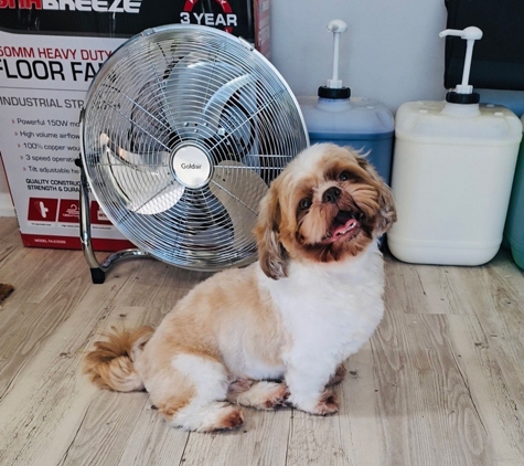 Scrub-A-Dub-Dub Dog & Cat Grooming - Rosemount, QLD