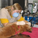 Sunset View Pet Hospital - Veterinary Clinics & Hospitals