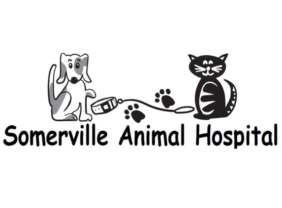 Somerville Animal Hospital - Somerville, TN