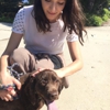 North San Diego dog Walkers gallery