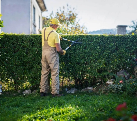 Woodstock Tree and Stump Removal - Coldstream, VIC