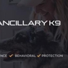 Ancillary K9 Dog Training gallery