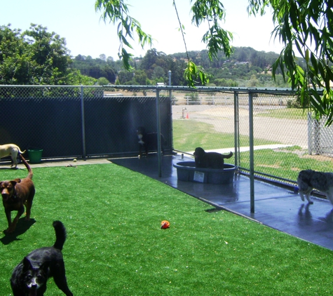 Creekside Pet Boarding - Arroyo Grande, CA