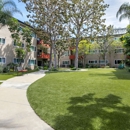 White Oak Terrace Apartments - Apartments