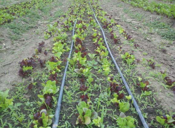 Sola Gratia Farm - Urbana, IL