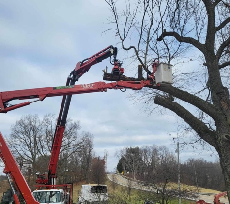 Smitty’s Tree Service - Sherrodsville, OH