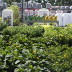 Garden Center at The Home Depot