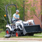 Bobcat of Mercer