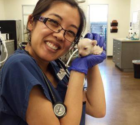 Hazel Ridge Veterinary Clinic - Fair Oaks, CA