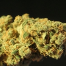 The Bud Depot - Alternative Medicine & Health Practitioners