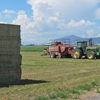 Holdeman Farms gallery