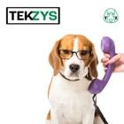 Tekzys