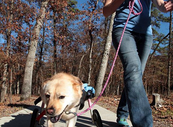 Your Pets Animal Hospital - Hot Springs National Park, AR