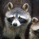 Acclaimed Pest Control Corporation - Pest Control Equipment & Supplies