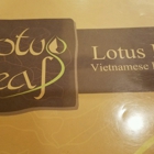 Lotus Leaf