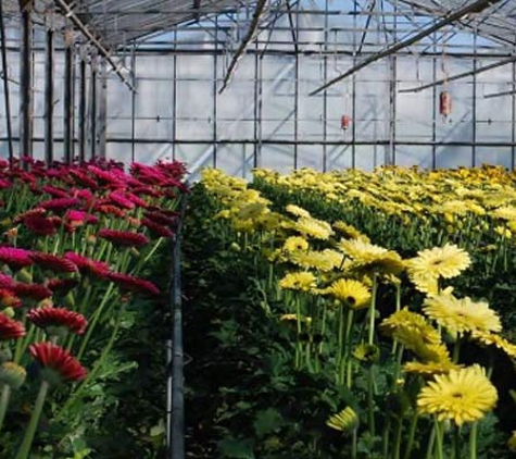 Floraco Pty Ltd - East Perth, WA