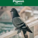 Pest Control Solutions, Inc. - Pest Control Services