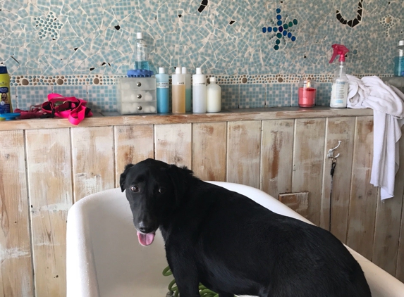 Dirty Dog Wash - Huntingtn Bch, CA