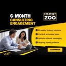 Strategy Zoo - Marketing Programs & Services